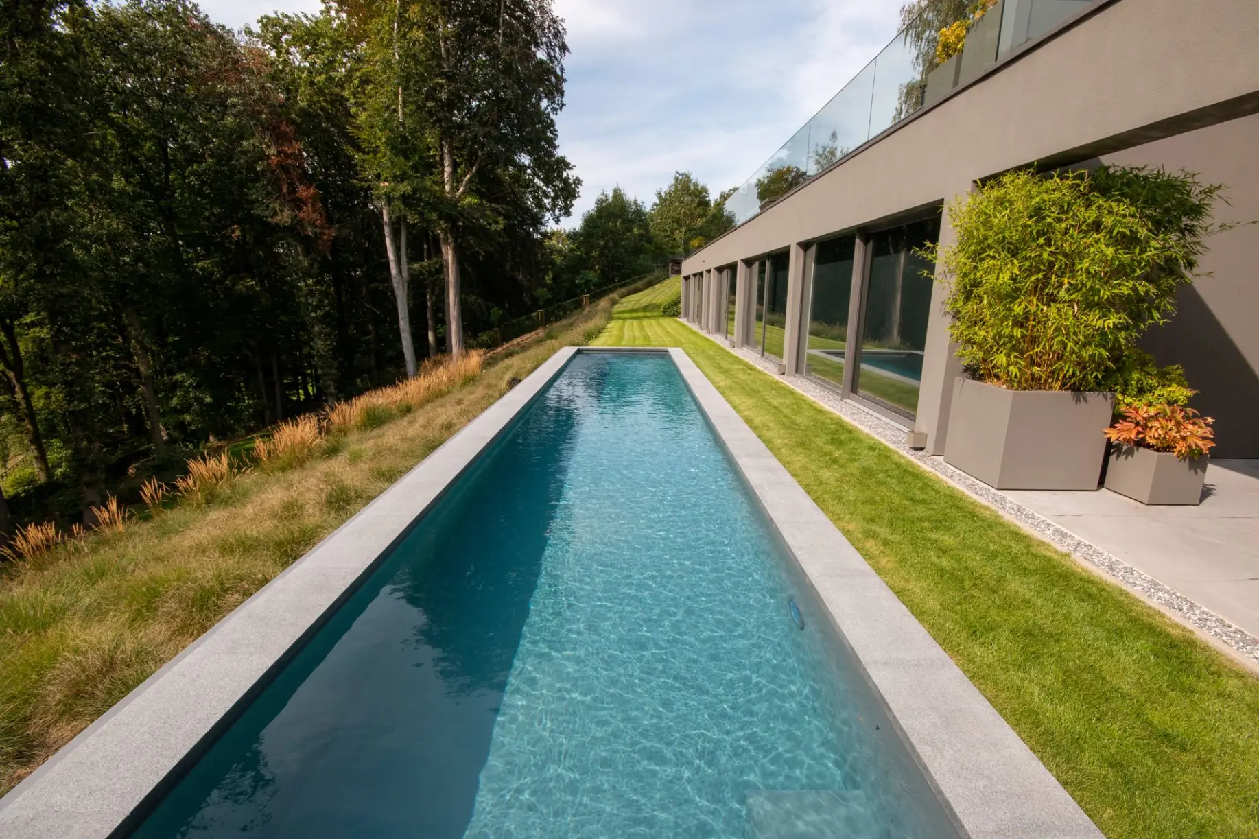 Couloir de nage bordé d'arbre