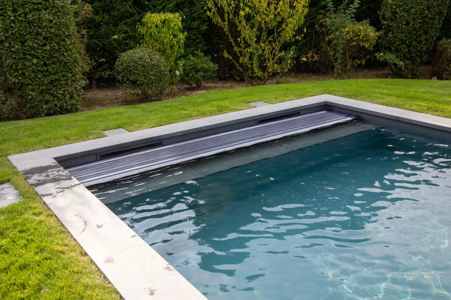 Piscine moderne bord clair avec un fond boisé