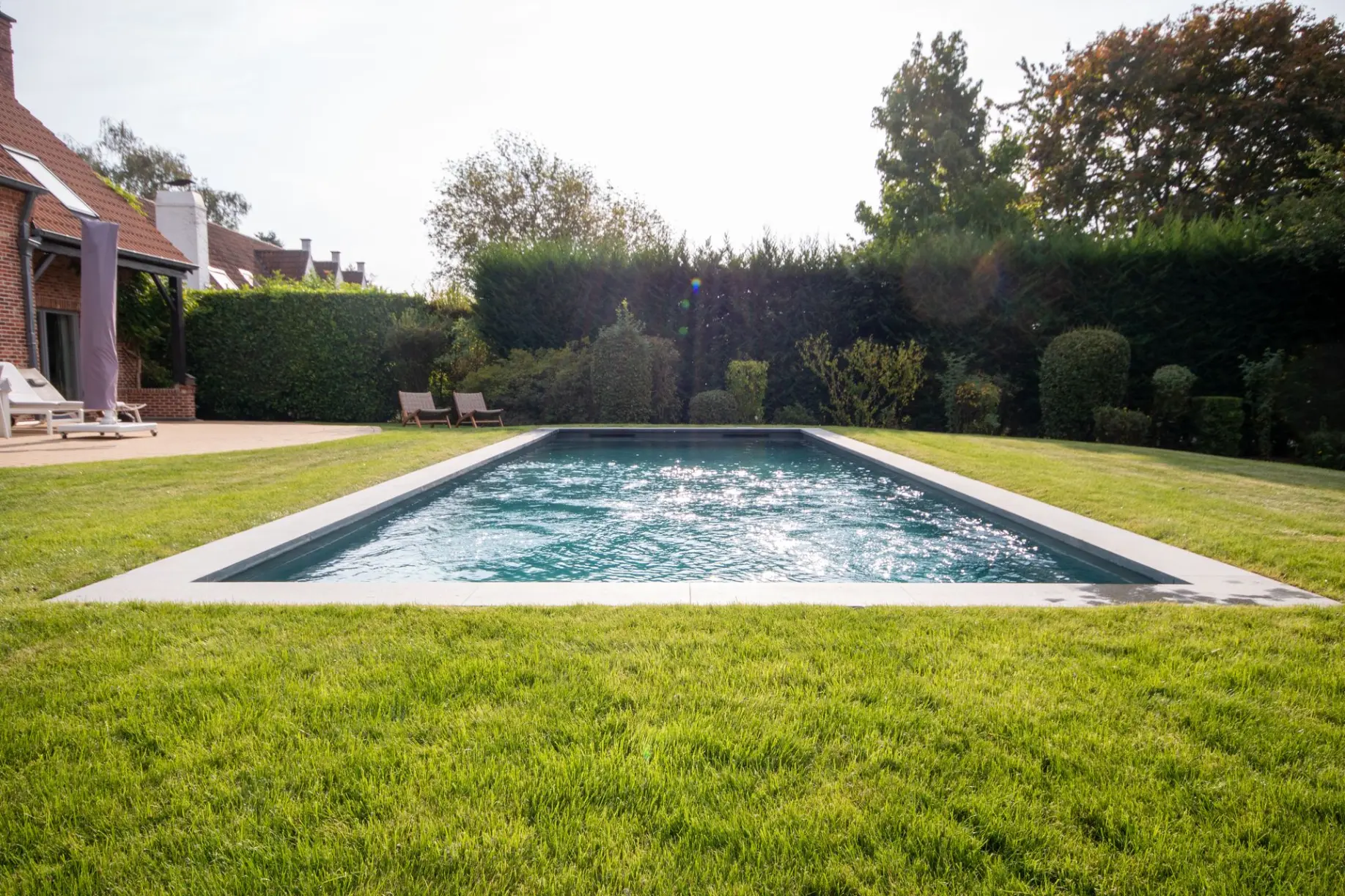 piscine extérieur rectangulaire entouré d'arbre