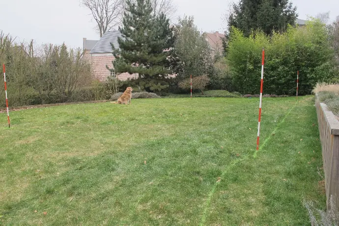 Délimitation de piscine sur pelouse entourée d’arbustes – Préparation des travaux
