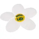 Water lily 1.webp
