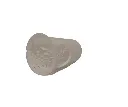 6.webp