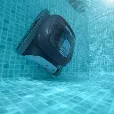 Dolphin-LIBERTY-300 (2).webp
