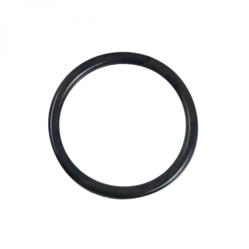 Joint Torique Ampoule Pour Projecteur De Piscine - Ø 13 Cm - Noir - Astral