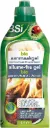 Allume-feu gel bio