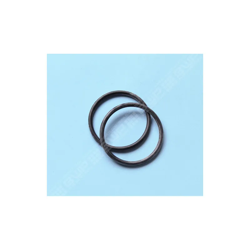 [R154492] Joint de traversée pour filtre à sable Triton (x2)