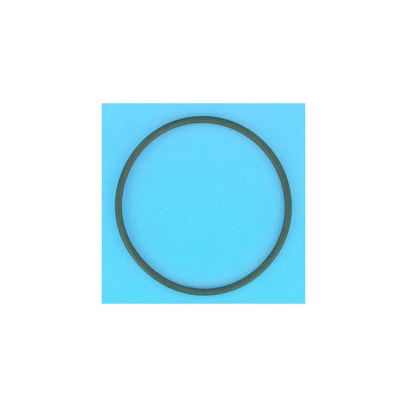 [R281008] Joint torique 123,2x5,8 mm de vanne 1"1/2 Top Tagelus/Azur 19" et 24"
