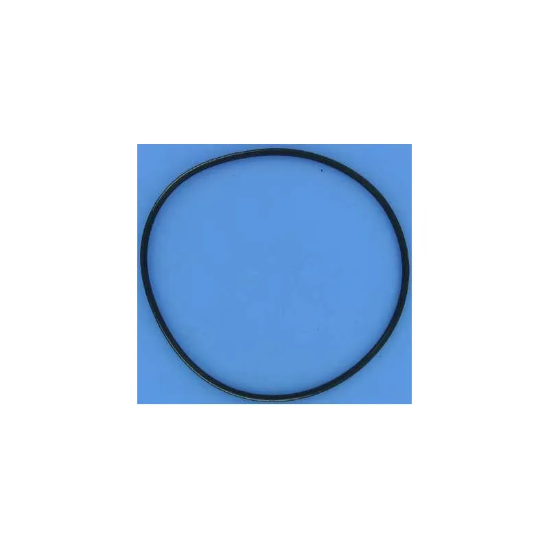 Zodiac - Courroie de transmission tous robots (à l'unité)