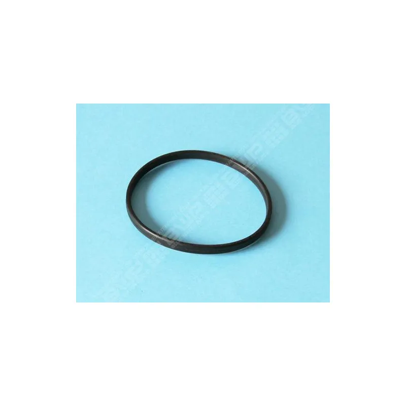 Joint de préfiltre pour pompe Bering 0,25 à 0,33 CV