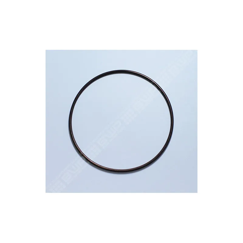 Joint de couvercle pour pompe Bering VS