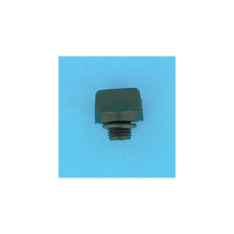 Bouchon de vidange + joint pour pompe 5JWP/5P2R/S5P2R/5P4R/SW5P4R Sta-Rite