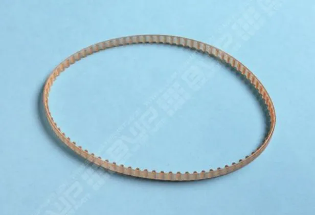 [3302] Dolphin - Courroie de traction à l'unité