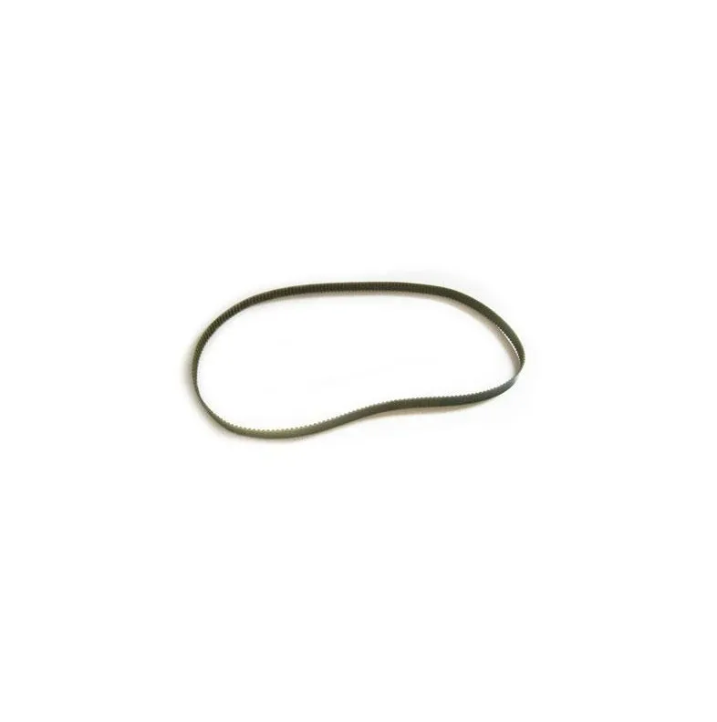 Courroie Dolphin Magic