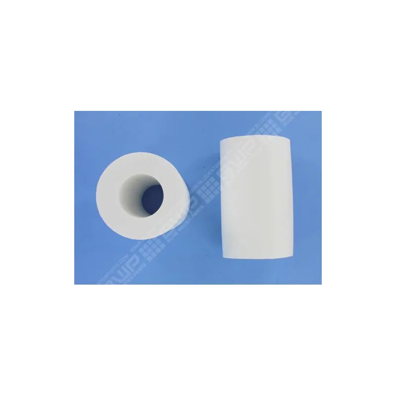 Mousses pour robot Dolphin Dynamix (x2)