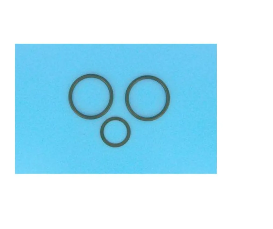 [4404120205] Joints de liaisons entre le filtre et la vanne V6V Astral Side 1"1/2
