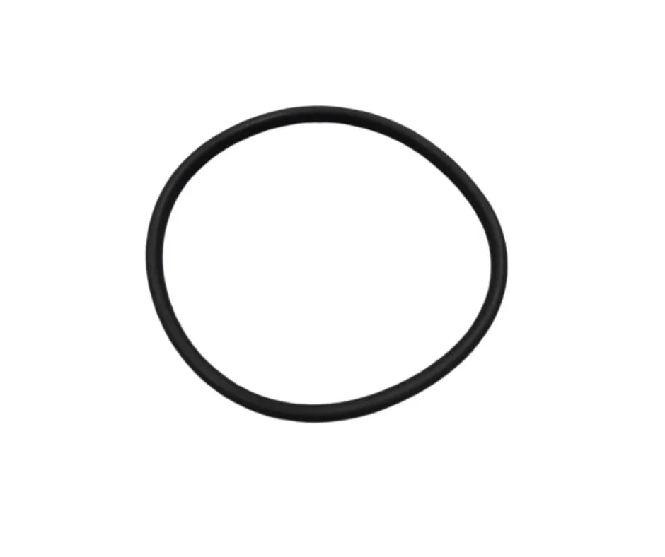 Joint de couvercle pour pompe Discovery New Europa