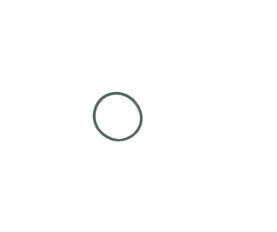 [SX0360Z1] Joint torique d'adaptateur et de traversée pour filtre à sable SX0360Z1