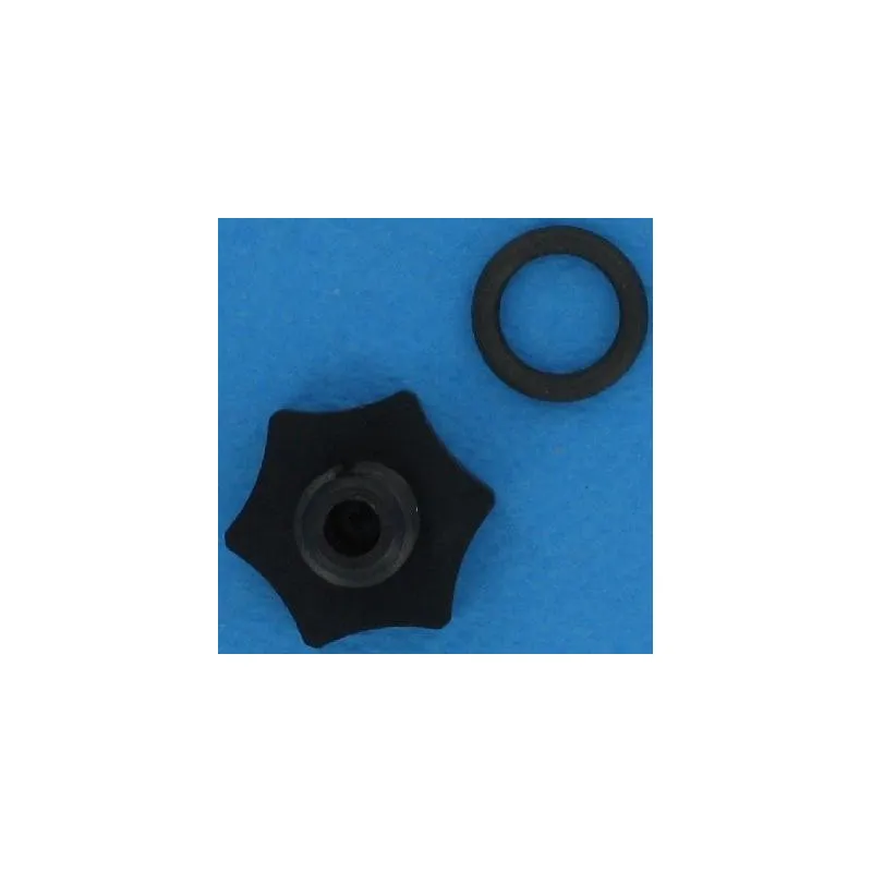 [4404040113] Bouchon de purge + joint filtre à sable Vesubio, Aster