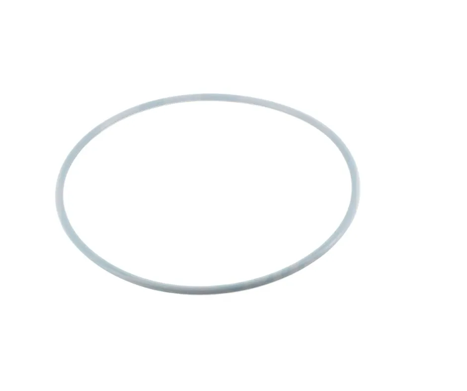 [R152501W] Joint de couvercle NM gris épais pour filtre à sable Pentair Triton NM, Clear Pro, Tagelus 8"1/2