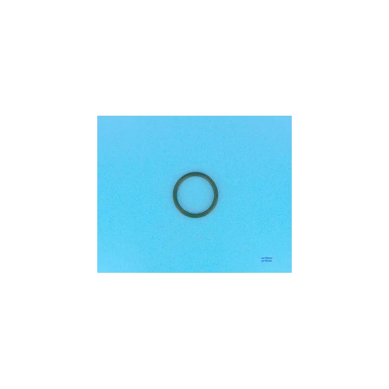 [4404180109] Joint de traversée torique Ø65 mm x6 Filtre Cantabric (x2) 