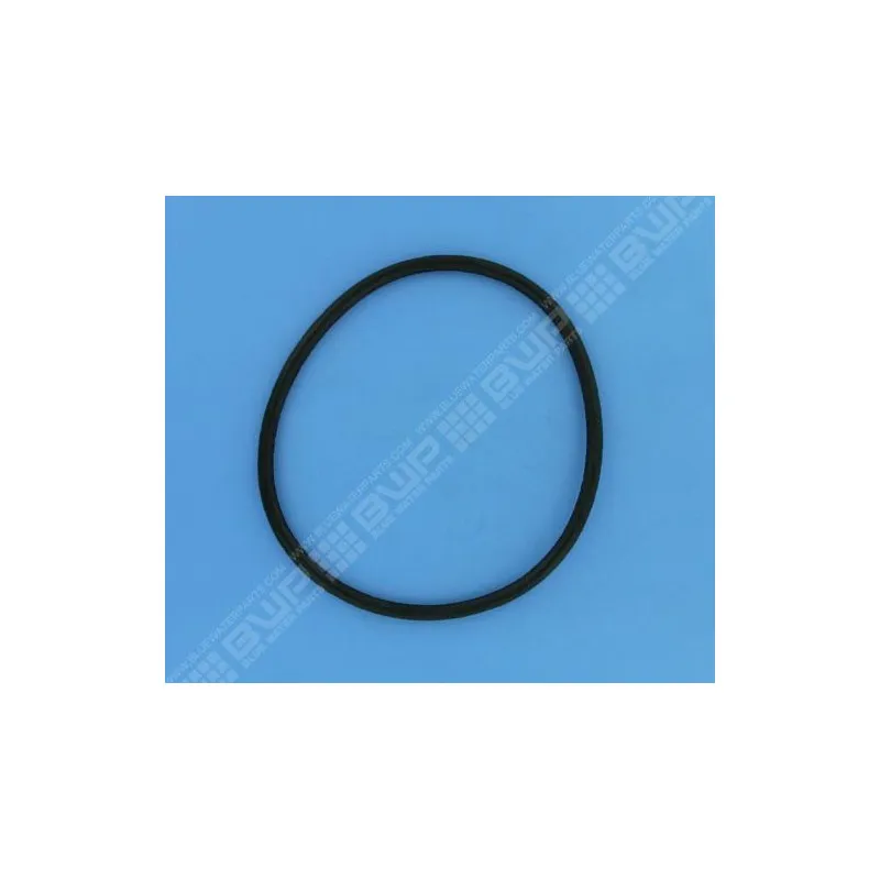 [4405010178] Joints de couvercle 152x7 mm préfiltre pompe Europa, Glass Plus, Starplus, Superplus, Malawi, Proline, Swimflo HGS