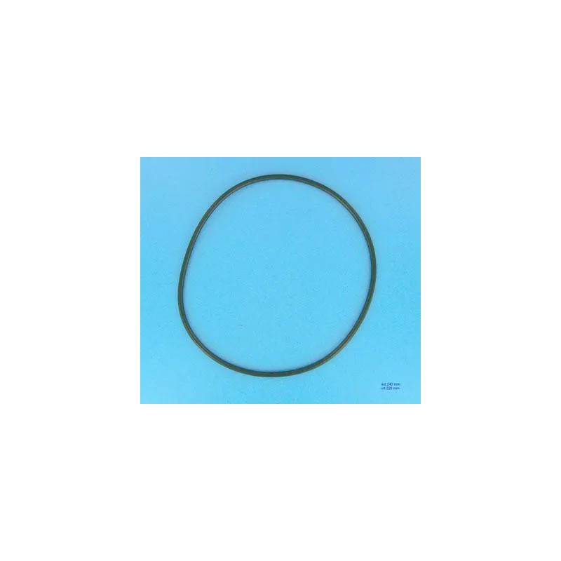 [4404180111] Joint de couvercle filtre à sable Astral Cantabric 900