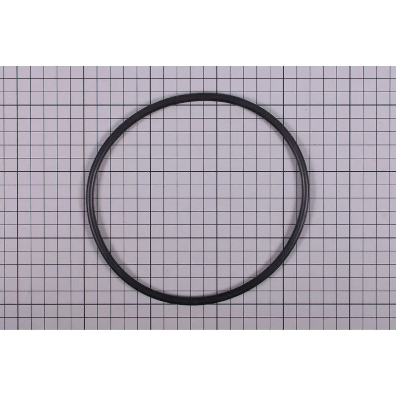   Joint de couvercle de préfiltre pompe Astral Europa