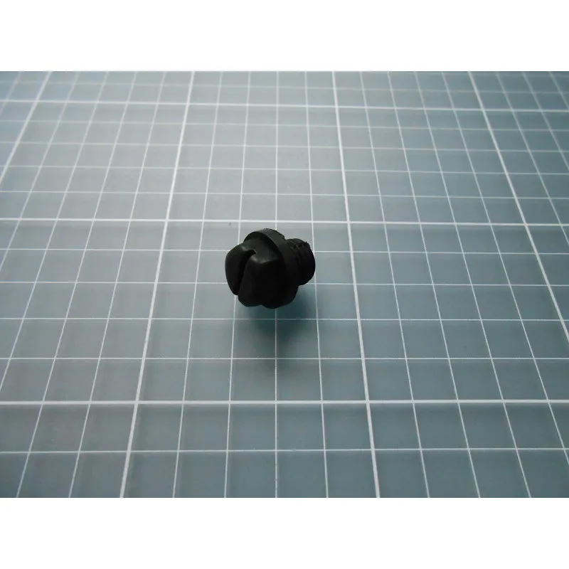 [48382R0008] Bouchon 1/4" sans joint pour vanne 6 voies Astral side 1’'1/2 et 2’'(Cantabric Side)/bouchon de vidange pour pompe Bering 0.25/0.33 CV